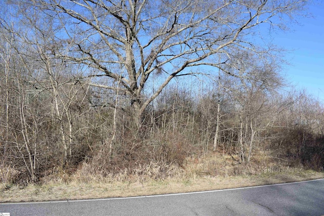 Listing photo 2 for Prince Rd Lot 4, Columbus NC 28722