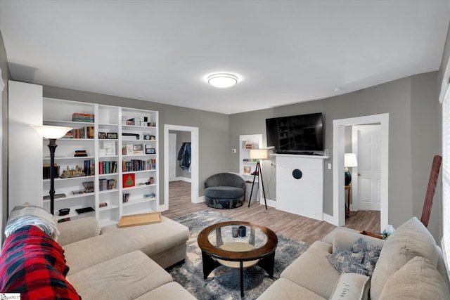 living room featuring light hardwood / wood-style floors