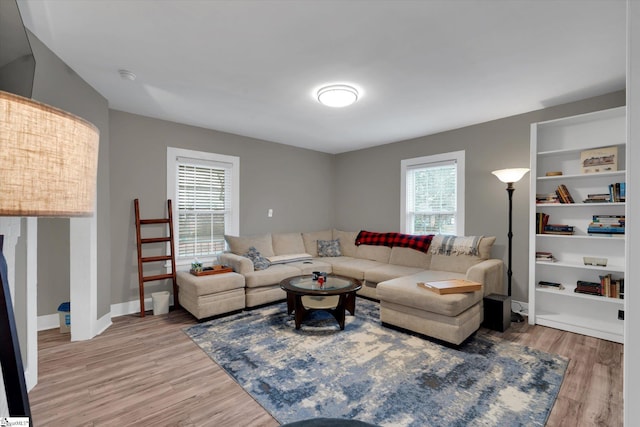 living room with hardwood / wood-style flooring and built in shelves