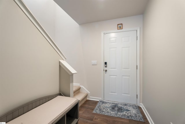 entrance foyer with dark wood-type flooring