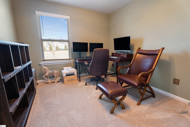 office featuring carpet floors