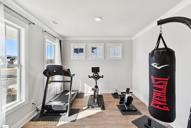 exercise area with crown molding and hardwood / wood-style floors