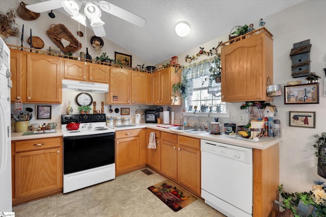 kitchen featuring lofted ceiling, sink, a textured ceiling, range with electric stovetop, and dishwasher