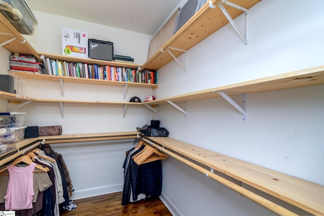 spacious closet with dark wood-type flooring