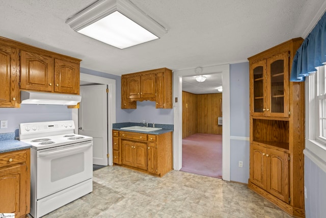 kitchen featuring sink, wood walls, and white range with electric cooktop