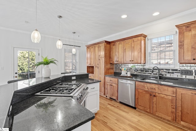 kitchen with appliances with stainless steel finishes, sink, hanging light fixtures, crown molding, and light hardwood / wood-style flooring