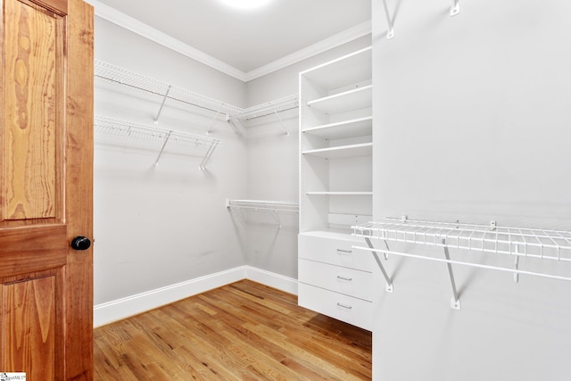 walk in closet with light wood-type flooring