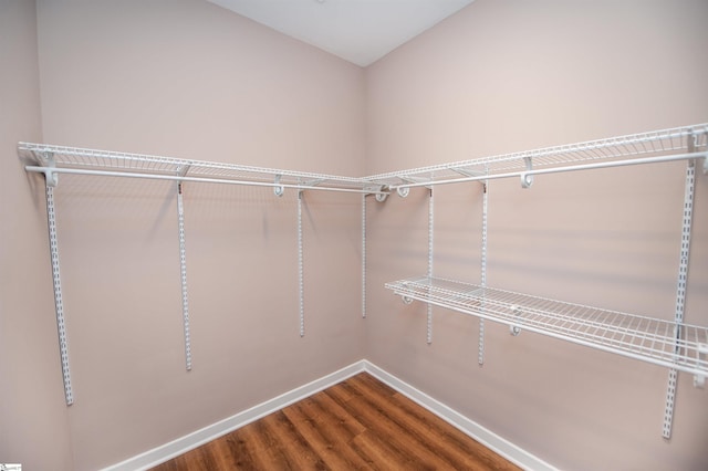 walk in closet with wood-type flooring