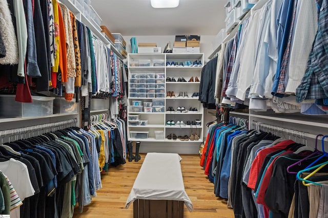 spacious closet with hardwood / wood-style flooring