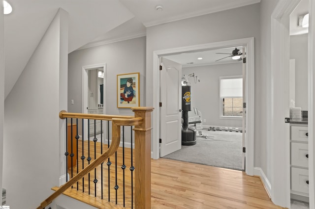 hall featuring crown molding and light hardwood / wood-style flooring