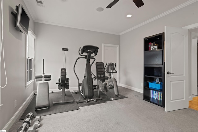 workout area featuring crown molding, ceiling fan, and carpet