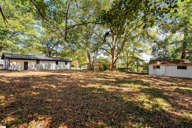 view of yard featuring a storage shed