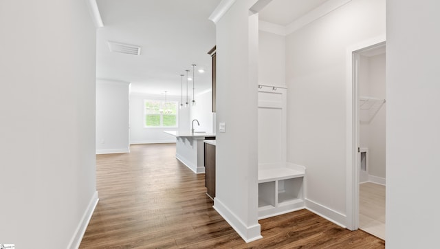 312 Fiery Rd Lot 0170, Mauldin, SC 29607 - hall featuring wood finished floors, crown molding, and baseboards