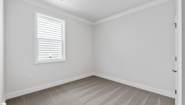 312 Fiery Rd Lot 0170, Mauldin, SC 29607 - empty room featuring carpet, baseboards, and crown molding
