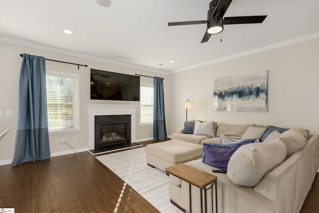 living room featuring ornamental molding, ceiling fan, and dark hardwood / wood-style flooring