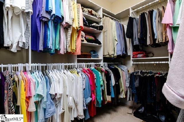 spacious closet with carpet flooring