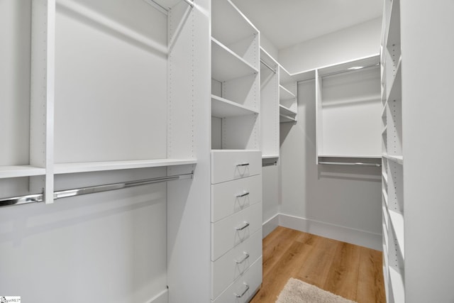 walk in closet with light wood-type flooring