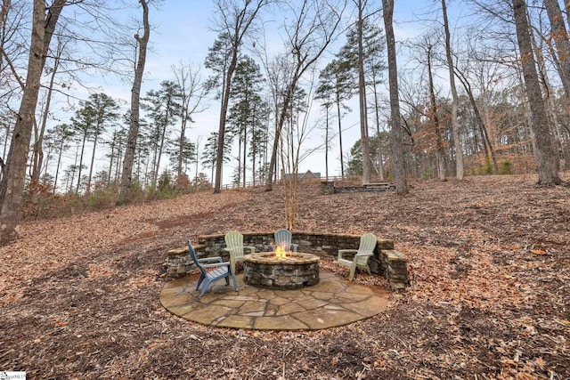 view of yard featuring a patio area and a fire pit