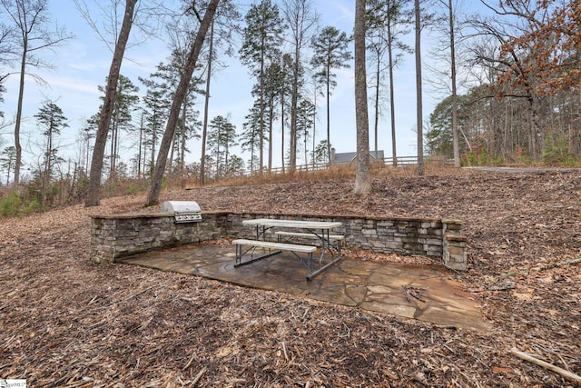 view of yard featuring an outdoor kitchen and a patio area