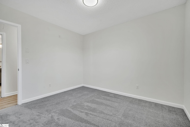 empty room featuring carpet floors and a textured ceiling