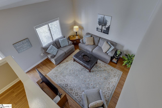 living room with wood-type flooring