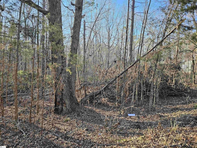 Listing photo 2 for 0 Rosemont Cir Lot 20, 21, 22, Laurens SC 29384