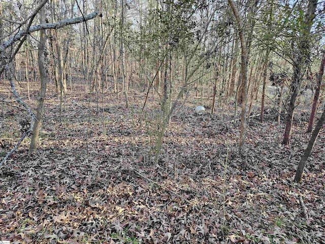 00 Rosemont Cir Lot 12, 13, 14, Waterloo, SC 29384