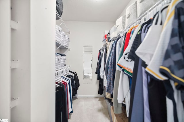 spacious closet featuring light colored carpet