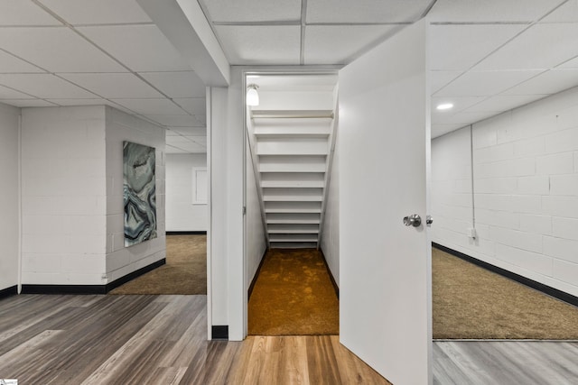 walk in closet featuring a paneled ceiling and wood-type flooring