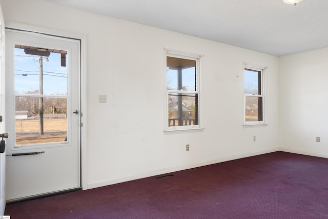 carpeted spare room with plenty of natural light