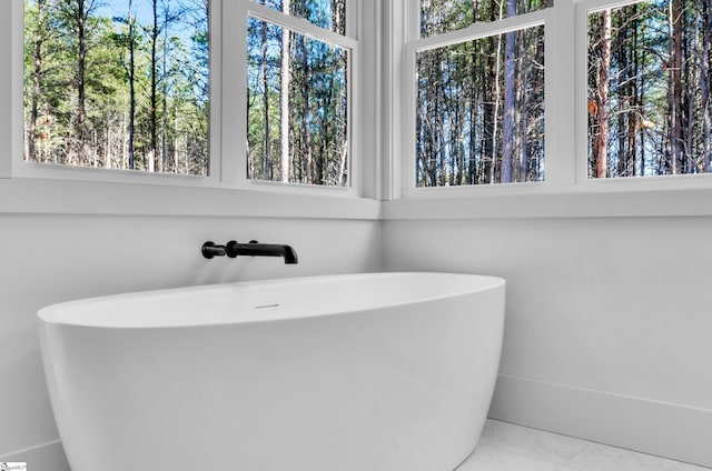 bathroom with a bathing tub