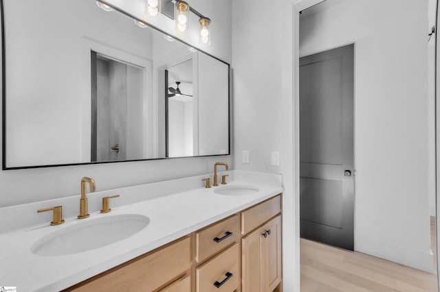 bathroom with vanity and wood-type flooring