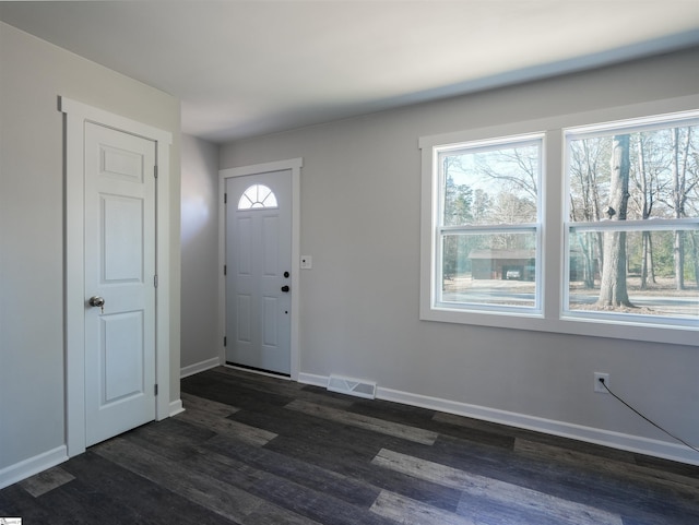 entryway featuring dark wood-type flooring and plenty of natural light