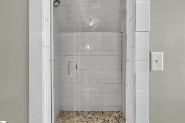 bathroom featuring a shower with shower door