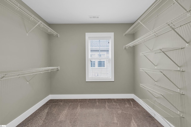 walk in closet featuring carpet