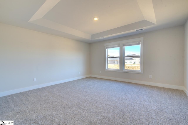 carpeted spare room featuring a raised ceiling