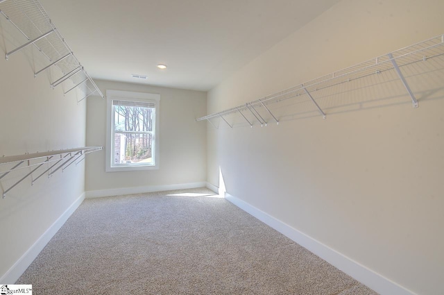 spacious closet with carpet floors