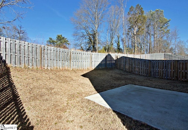 view of yard featuring a patio