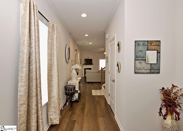 hallway with ornamental molding and dark hardwood / wood-style floors