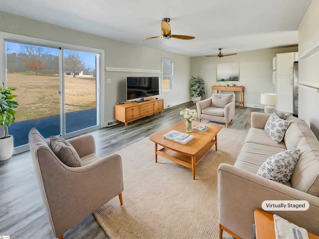 living room featuring ceiling fan and wood-type flooring