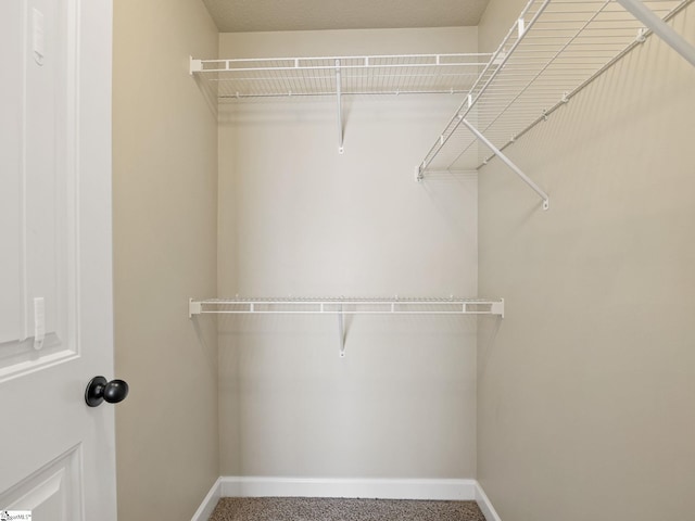 spacious closet featuring carpet