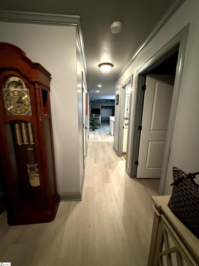 hallway featuring light hardwood / wood-style flooring