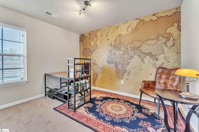 sitting room with track lighting and carpet