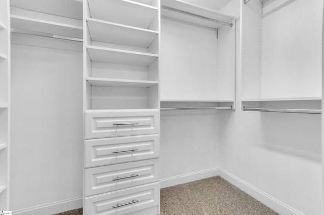 walk in closet with carpet