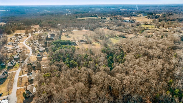 drone / aerial view
