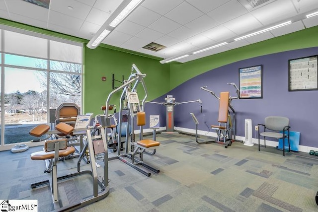 workout area with expansive windows and carpet flooring