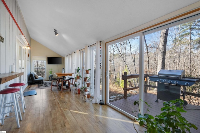 sunroom with lofted ceiling