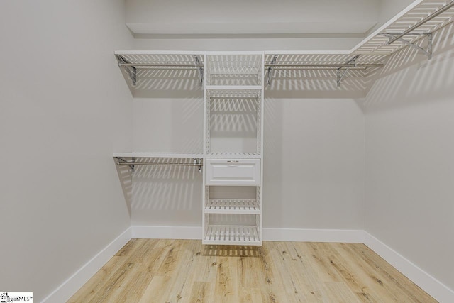 walk in closet featuring hardwood / wood-style flooring