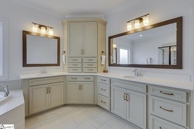 bathroom featuring tile patterned floors, ornamental molding, vanity, and a washtub