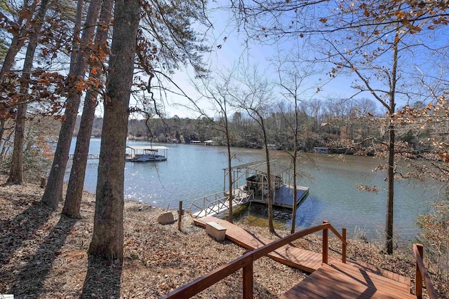 dock area with a water view